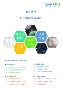 睿贝医学独立科技服务项目