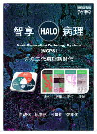 智享病理-开启二代病理新时代