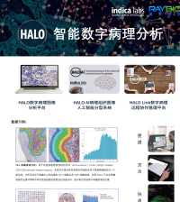 Halo智能数字病理分析